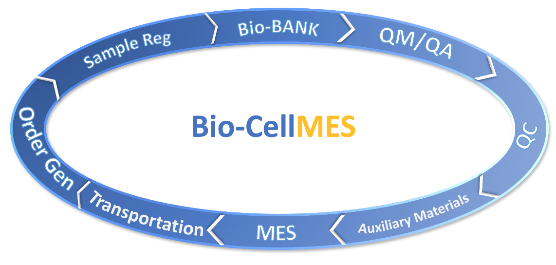 The Scope of Bio-CELLMES